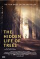 The Hidden Life of Trees Poster