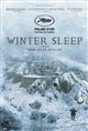 Winter Sleep Poster