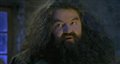 Harry Potter and the Philosopher's Stone Video Thumbnail