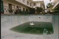 The Karate Kid (1984) Video Thumbnail