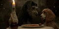 'Lady and the Tramp' Trailer Video Thumbnail