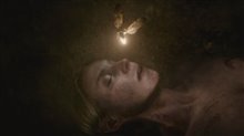 THE SHROUDS Trailer Video