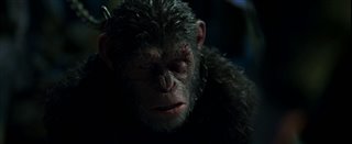 War for the Planet of the Apes Movie Clip - "I Came for You" video