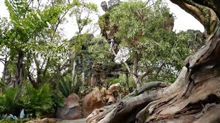 Pandora: The World of Avatar at Walt Disney World video