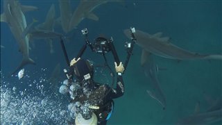 'Sharkwater Extinction' Cast Interviews video