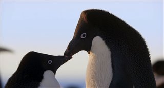 'Penguins' Movie Clip - "Meet Adeline" video