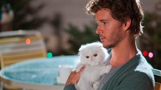 The Right Kind of Wrong movie preview video