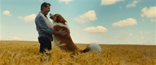 'A Dog's Journey' Trailer Video Thumbnail