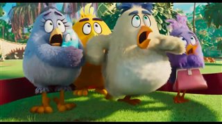 angry-birds-le-film-2-bande-annonce Video Thumbnail