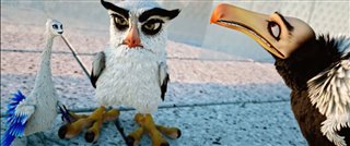 BIRDS LIKE US Trailer Video Thumbnail