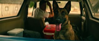 DOG - Road Dogs Video Thumbnail
