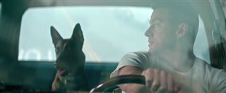 DOG Trailer Video Thumbnail