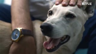 DOGS - Season 2 Trailer Video Thumbnail