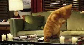 garfield-a-tail-of-two-kitties Video Thumbnail