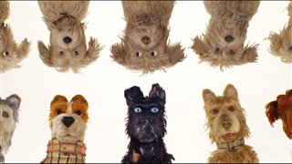 Isle of Dogs Movie Clip Okay - "It's Worth It" Video Thumbnail