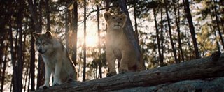 LE LOUP ET LE LION - bande-annonce Trailer Video Thumbnail