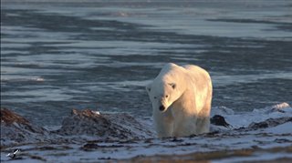 les-aventuriers-voyageurs-arctique-passage-du-nord-ouestbande-annonce Video Thumbnail