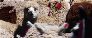 Passporte pour le Monde - Bolivie : De l'Altiplano à l'Amazonie Trailer Video Thumbnail