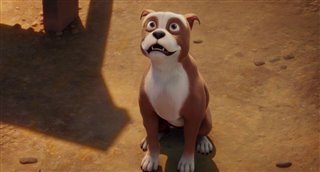 sgt-stubby-an-unlikely-hero-trailer Video Thumbnail