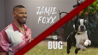 strays-jamie-foxx-is-bug Video Thumbnail