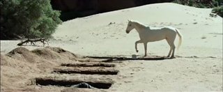 The Lone Ranger : Le justicier masqué Trailer Video Thumbnail
