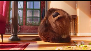 The Secret Life of Pets movie clip - "Max Frames Duke" Video Thumbnail