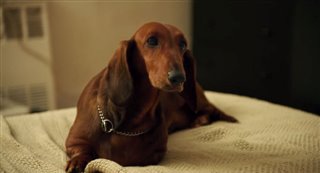 wiener-dog-official-trailer Video Thumbnail