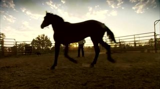 Wild Horse, Wild Ride Trailer Video Thumbnail